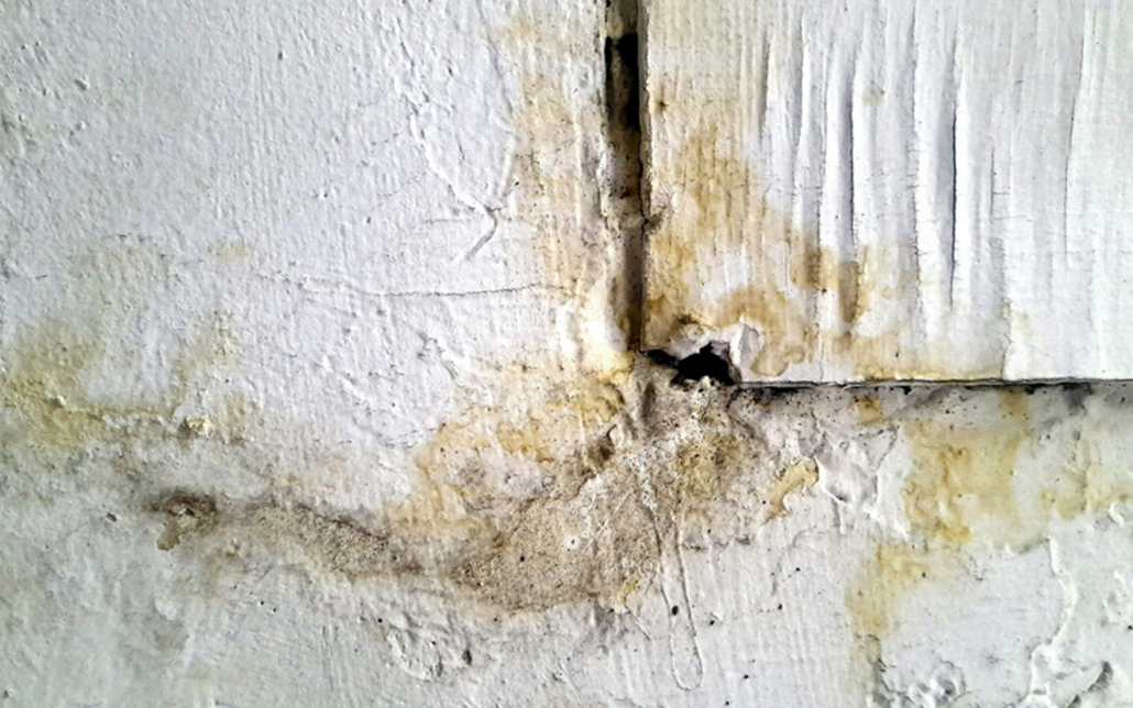 Signs Indicating Water Intrusio